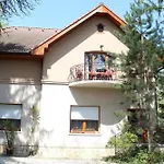 Pensionat Vicze Apartmanhaz 3*