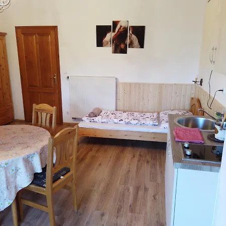 Vicze Vendégház *