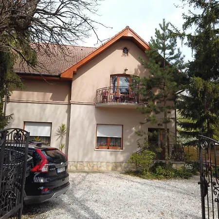 Vicze * Siófok