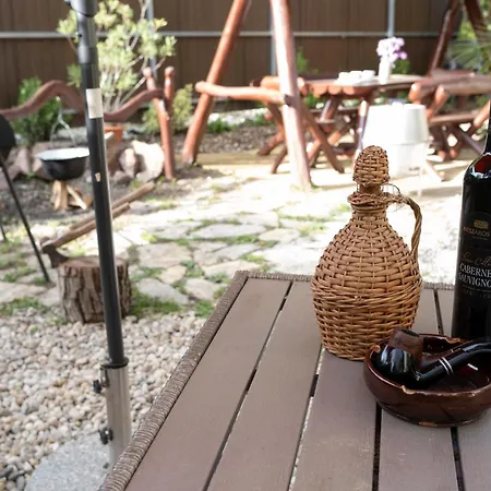 Vicze Apartmanhaz 招待所