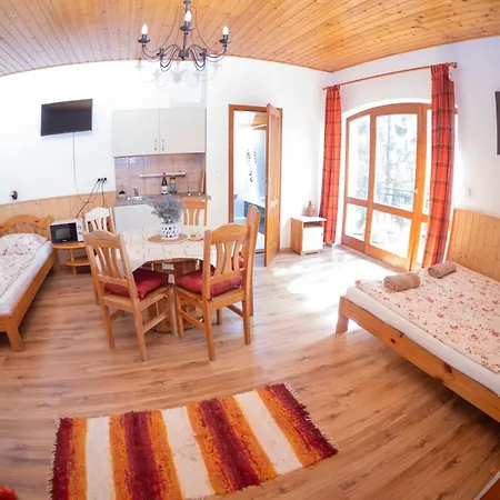 Vicze Apartmanhaz 招待所