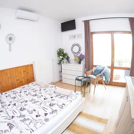 Гостевой дом Vicze Apartmanhaz *