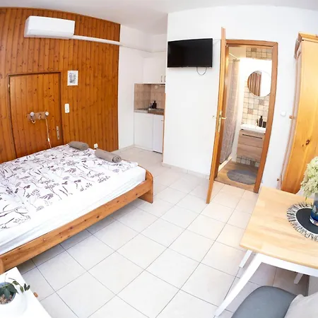 Vicze Apartmanhaz Гостевой дом Шиофок