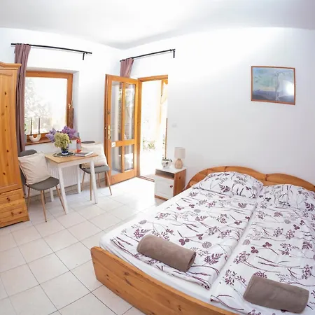 Vicze Apartmanhaz Gasthuis