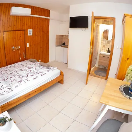 Vicze Apartmanhaz Πανσιόν