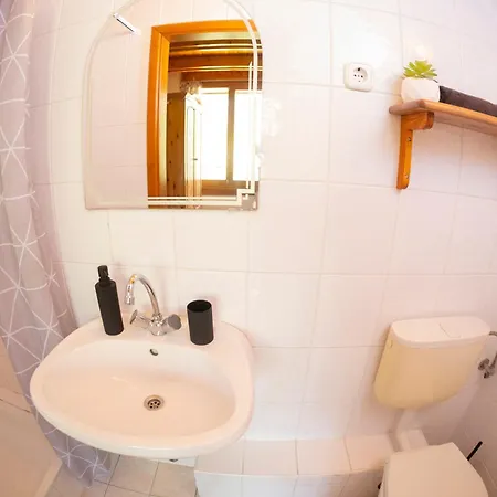 Vicze Apartmanhaz Guest house