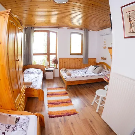 Guest house Vicze Apartmanhaz 3*