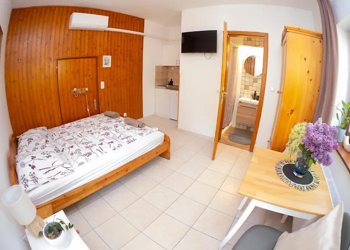 Vicze Apartmanhaz Konukevi